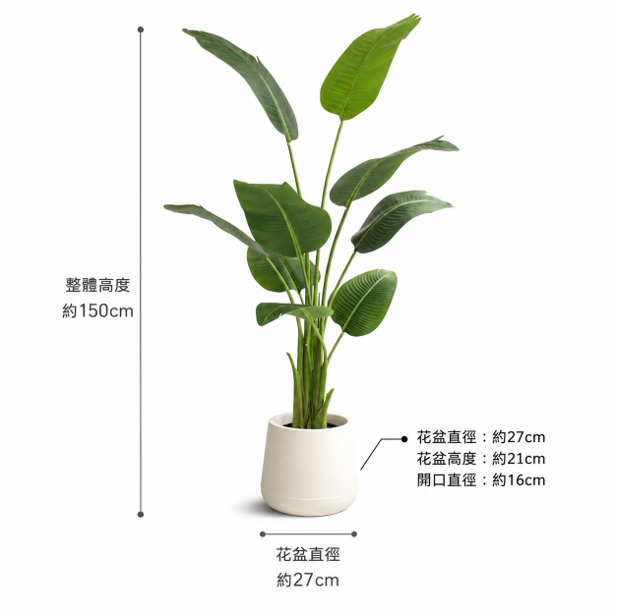 仿真綠植－旅人蕉 150cm